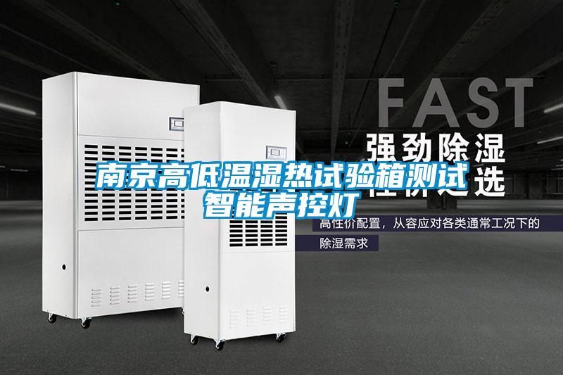 南京高低溫濕熱試驗(yàn)箱測試智能聲控?zé)?/></p>
						    <p style=
