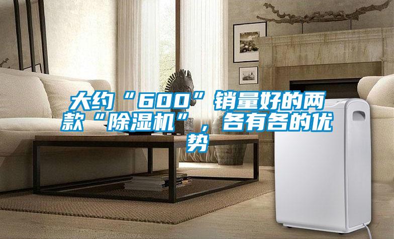 大約“600”銷量好的兩款“除濕機”，各有各的優勢
