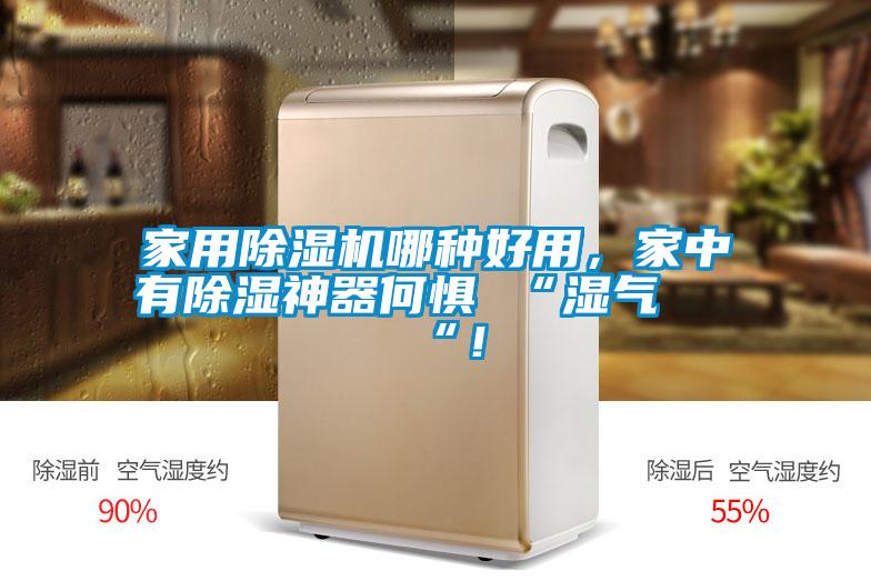 家用除濕機哪種好用，家中有除濕神器何懼 “濕氣 “！