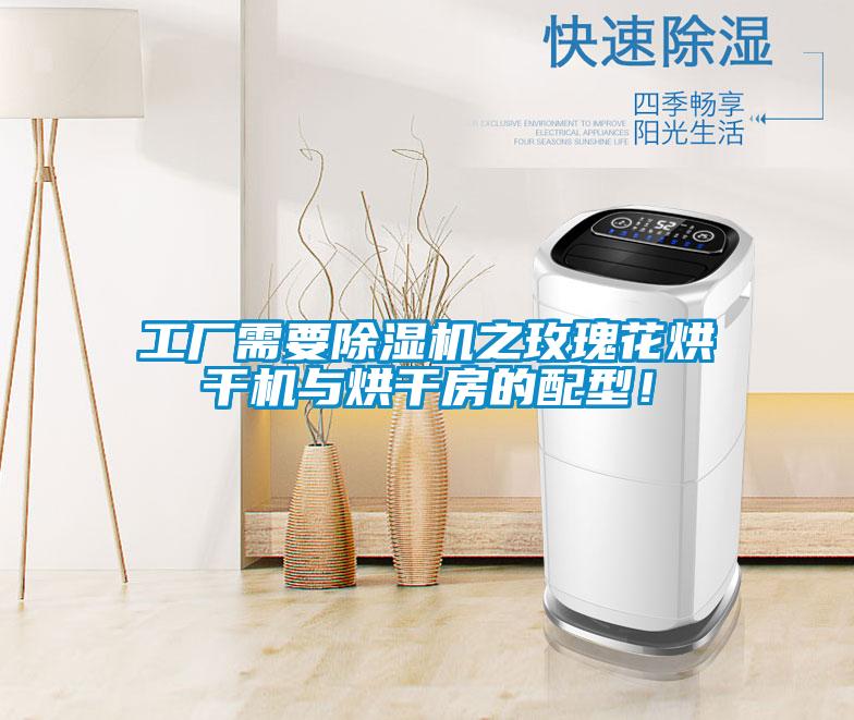 工廠需要除濕機之玫瑰花烘干機與烘干房的配型！