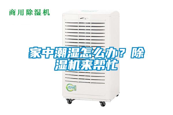 家中潮濕怎么辦？除濕機來幫忙