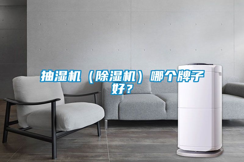 抽濕機（除濕機）哪個牌子好？
