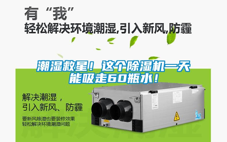潮濕救星！這個(gè)除濕機(jī)一天能吸走60瓶水！