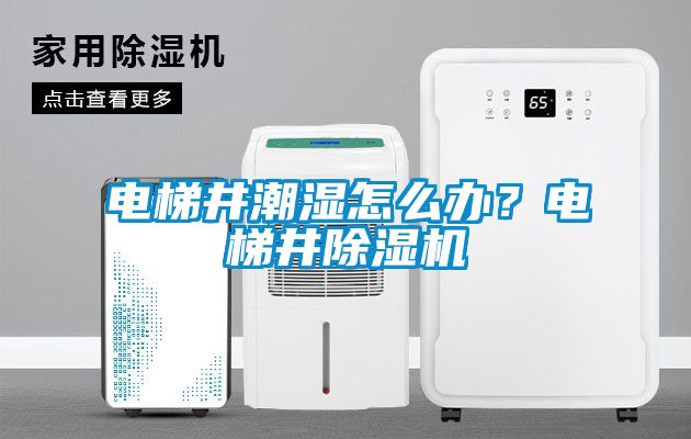 電梯井潮濕怎么辦？電梯井除濕機