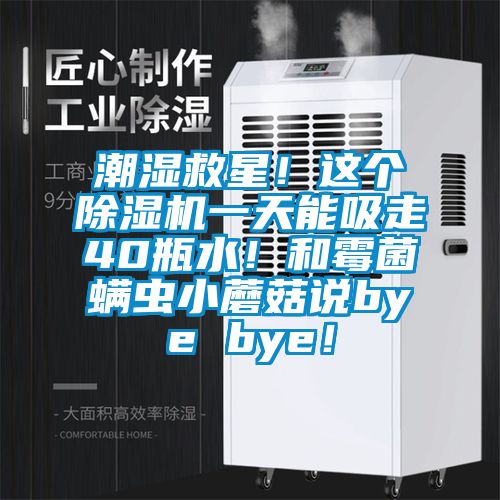潮濕救星！這個除濕機一天能吸走40瓶水！和霉菌螨蟲小蘑菇說bye bye！