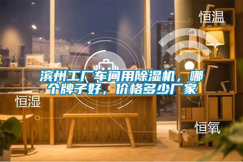 濱州工廠車間用除濕機，哪個牌子好，價格多少廠家