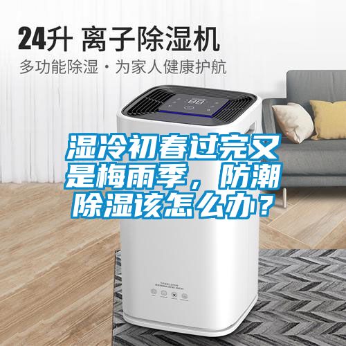 濕冷初春過完又是梅雨季，防潮除濕該怎么辦？