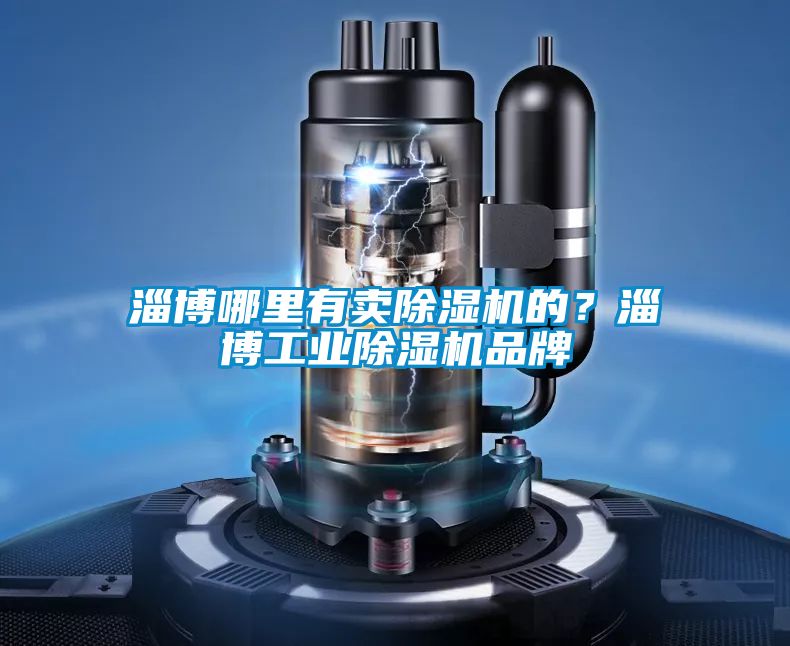 淄博哪里有賣除濕機(jī)的？淄博工業(yè)除濕機(jī)品牌