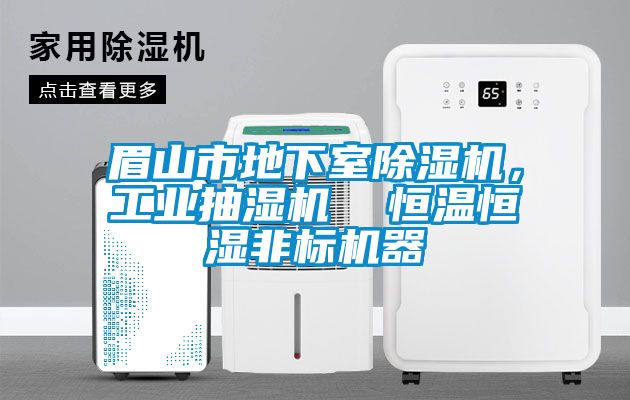 眉山市地下室除濕機，工業抽濕機  恒溫恒濕非標機器