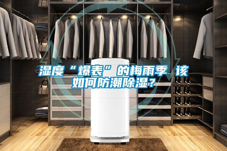 濕度“爆表”的梅雨季 該如何防潮除濕？
