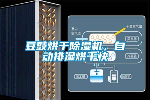 豆豉烘干除濕機，自動排濕烘干快