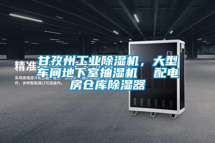 甘孜州工業除濕機，大型車間地下室抽濕機  配電房倉庫除濕器