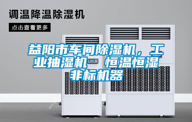 益陽(yáng)市車間除濕機(jī)，工業(yè)抽濕機(jī)  恒溫恒濕非標(biāo)機(jī)器
