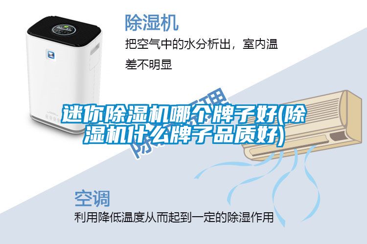 迷你除濕機(jī)哪個牌子好(除濕機(jī)什么牌子品質(zhì)好)