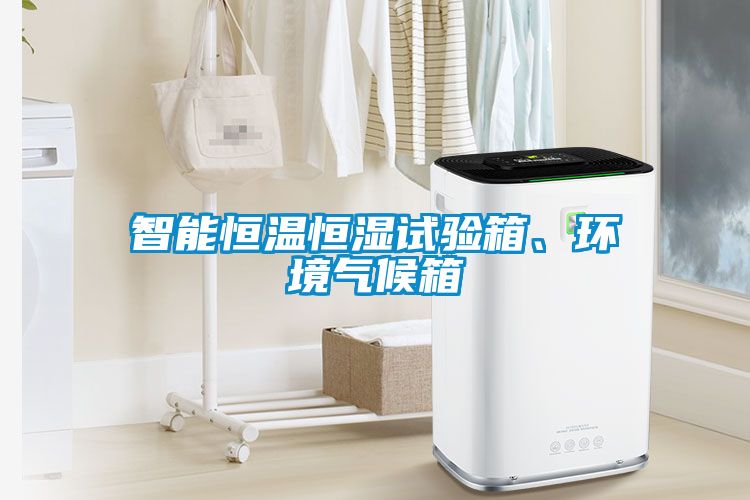 智能恒溫恒濕試驗箱、環境氣候箱