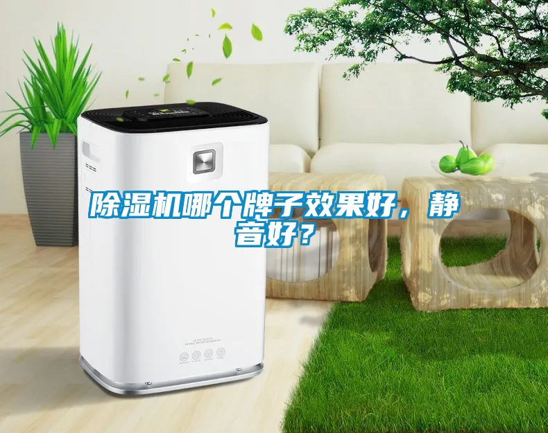 除濕機(jī)哪個(gè)牌子效果好，靜音好？