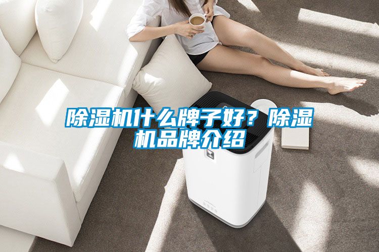 除濕機什么牌子好？除濕機品牌介紹