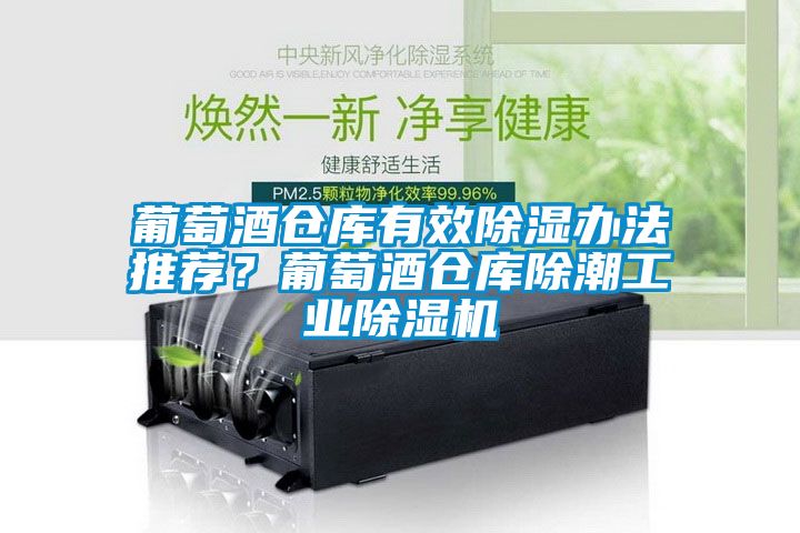 葡萄酒倉庫有效除濕辦法推薦？葡萄酒倉庫除潮工業除濕機