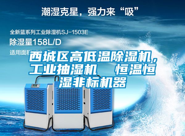 西城區高低溫除濕機，工業抽濕機  恒溫恒濕非標機器