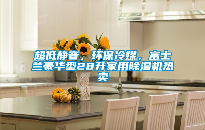 超低靜音，環(huán)保冷媒，富士蘭豪華型28升家用除濕機(jī)熱賣