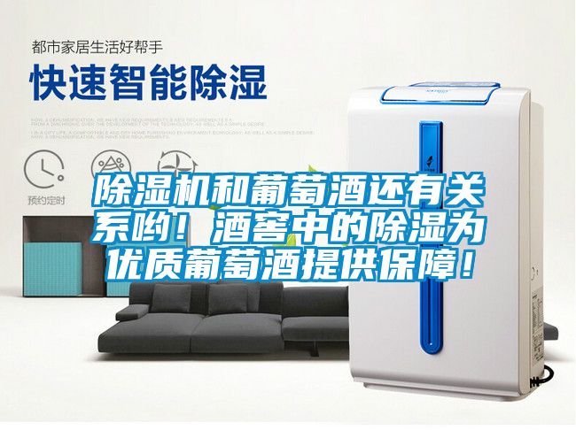 除濕機和葡萄酒還有關系喲！酒窖中的除濕為優質葡萄酒提供保障！