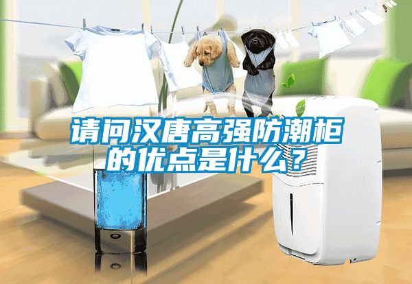請問漢唐高強(qiáng)防潮柜的優(yōu)點是什么？