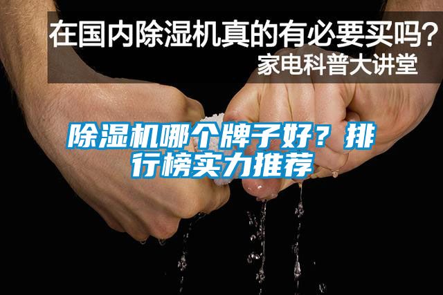 除濕機哪個牌子好？排行榜實力推薦