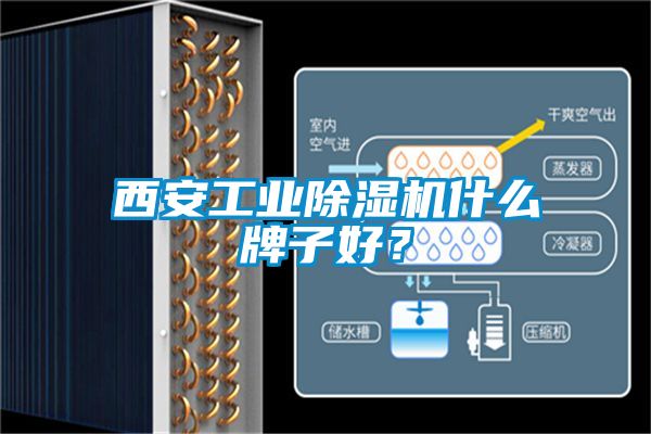 西安工業除濕機什么牌子好？