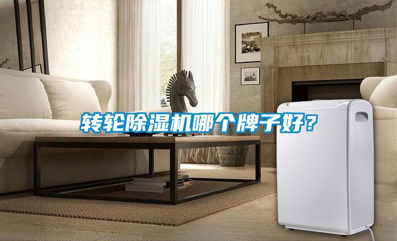 轉(zhuǎn)輪除濕機(jī)哪個(gè)牌子好？