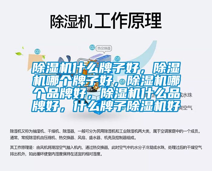 除濕機什么牌子好，除濕機哪個牌子好，除濕機哪個品牌好，除濕機什么品牌好，什么牌子除濕機好