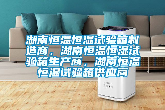 湖南恒溫恒濕試驗箱制造商，湖南恒溫恒濕試驗箱生產商，湖南恒溫恒濕試驗箱供應商