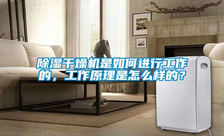 除濕干燥機是如何進行工作的，工作原理是怎么樣的？