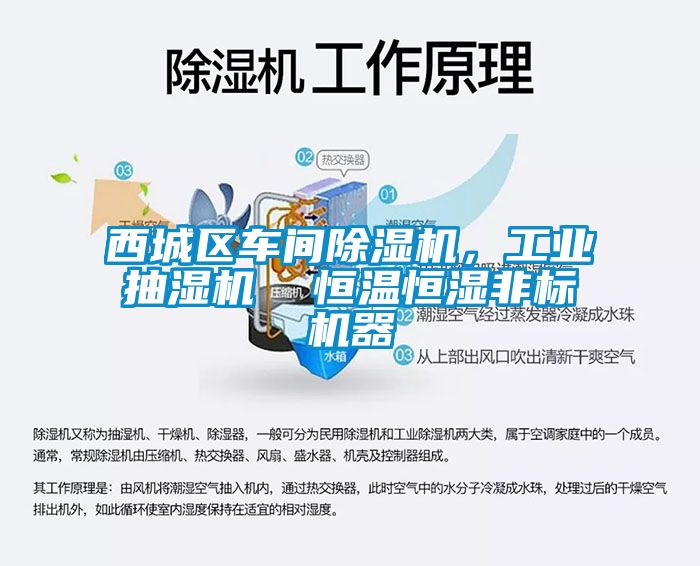 西城區車間除濕機，工業抽濕機  恒溫恒濕非標機器