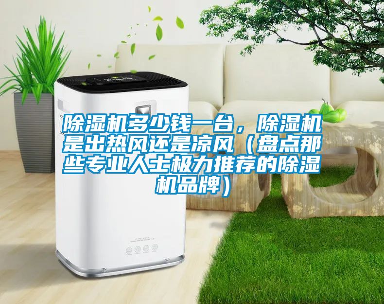 除濕機多少錢一臺，除濕機是出熱風還是涼風（盤點那些專業人士極力推薦的除濕機品牌）