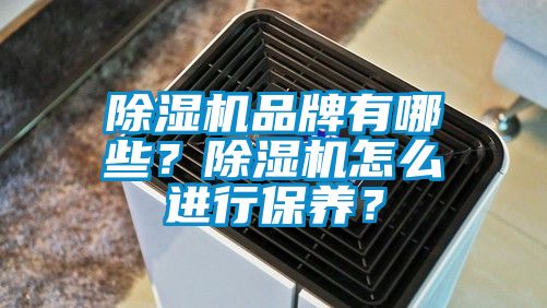除濕機(jī)品牌有哪些？除濕機(jī)怎么進(jìn)行保養(yǎng)？