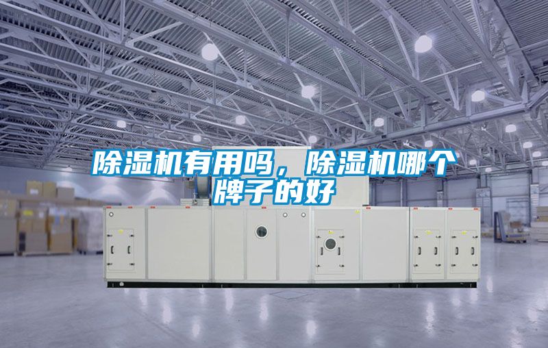 除濕機(jī)有用嗎，除濕機(jī)哪個(gè)牌子的好