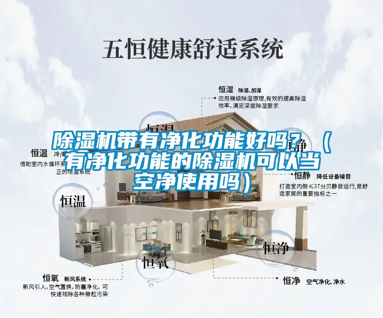 除濕機帶有凈化功能好嗎？（有凈化功能的除濕機可以當空凈使用嗎）