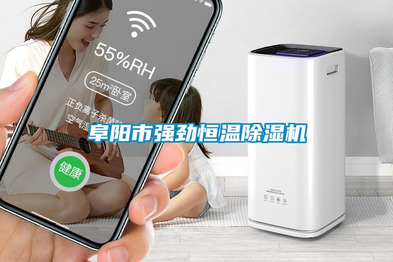 阜陽市強勁恒溫除濕機(jī)