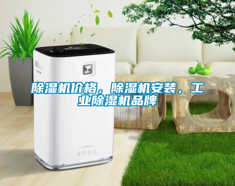 除濕機價格，除濕機安裝，工業除濕機品牌