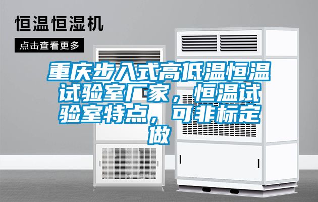 重慶步入式高低溫恒溫試驗室廠家，恒溫試驗室特點，可非標定做