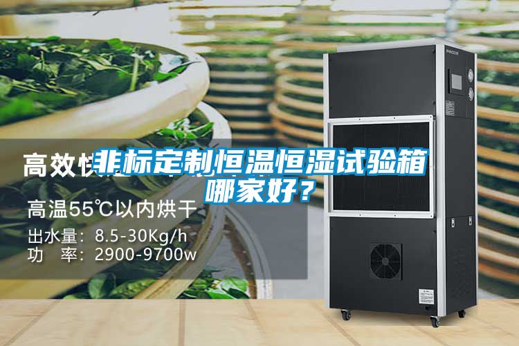 非標定制恒溫恒濕試驗箱哪家好？