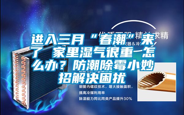 進入三月“春潮”來了 家里濕氣很重 怎么辦？防潮除霉小妙招解決困擾