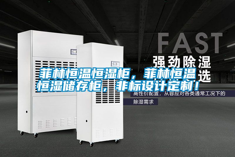菲林恒溫恒濕柜，菲林恒溫恒濕儲存柜，非標設計定制！