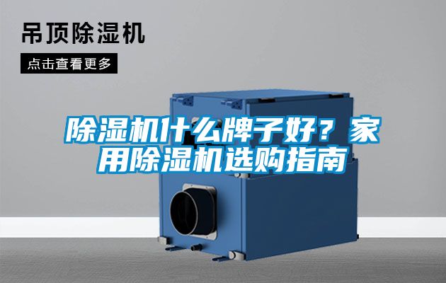除濕機什么牌子好？家用除濕機選購指南