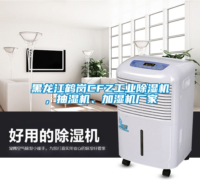 黑龍江鶴崗CFZ工業除濕機，抽濕機、加濕機廠家
