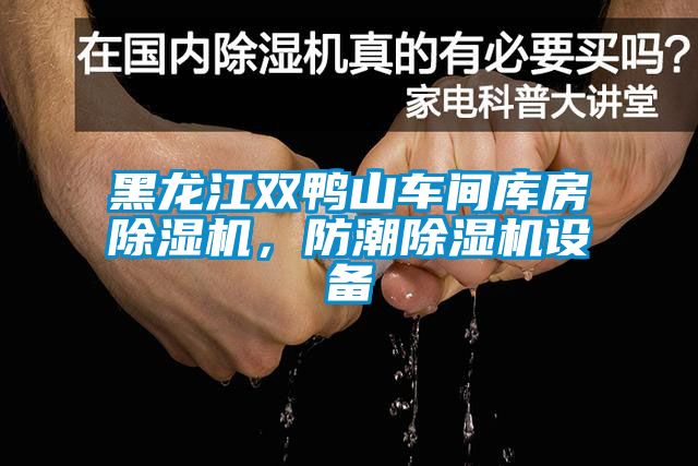 黑龍江雙鴨山車間庫房除濕機，防潮除濕機設備