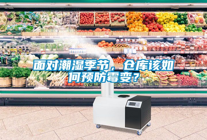 面對潮濕季節，倉庫該如何預防霉變？