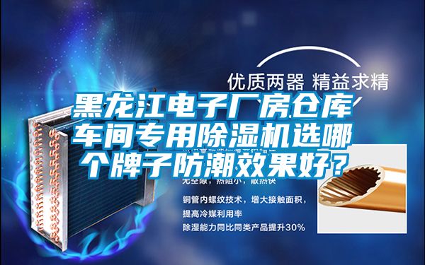 黑龍江電子廠房倉庫車間專用除濕機選哪個牌子防潮效果好？