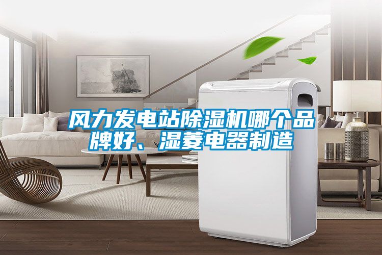 風力發電站除濕機哪個品牌好、濕菱電器制造