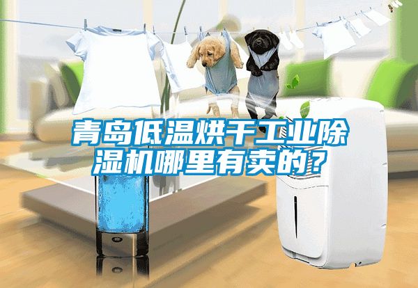 青島低溫烘干工業除濕機哪里有賣的？